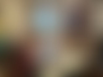 PELLEGRINI: OTRO PASO MÁS EN BUSCA DE SOLUCIONES PARA EL CONTROL DE LA POBLACIÓN DE PERROS Y GATOS