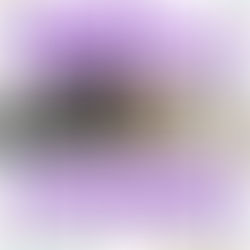 JORNADA DE CUIDADO RESPONSABLE DE MASCOTAS, ESTE SÁBADO (29) EN EL CIC DEL BARRIO PARQUE