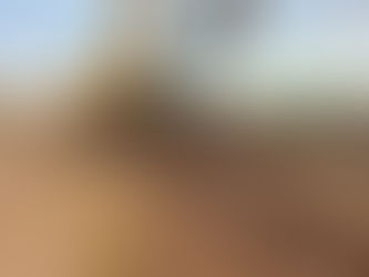 DAIREAUX: TRABAJOS PARA MEJORAR LA TRANSITABILIDAD EN CAMINOS RURALES DE ARBOLEDAS