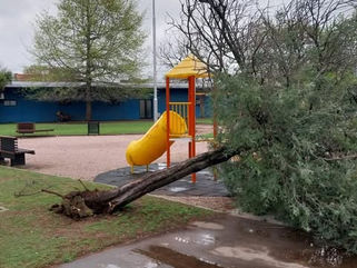 PEHUAJÓ: LUEGO DE LA TORMENTA, SE REALIZAN TRABAJOS DE ORDEN Y LIMPIEZA EN LUGARES AFECTADOS