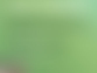 RIVADAVIA: CAMBIO DE HORARIO DE LA ADMINISTRACIÓN PÚBLICA