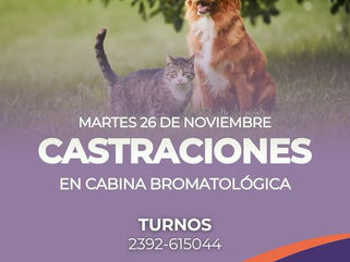 PELLEGRINI: JORNADA DE CASTRACIONES DE MASCOTAS EN LA CABINA BROMATOLÓGICA