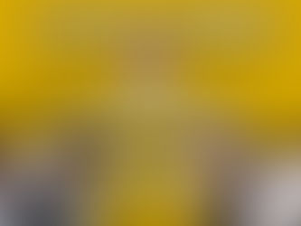 PELLEGRINI: ESTE MARTES EL QUIRÓFANO MÓVIL DE MASCOTAS ESTARÁ EN LA CABINA BROMATOLÓGICA