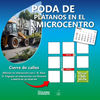 PEHUAJÓ: ESTE LUNES CONTINUARÁN LOS CORTES DE CALLE POR TRABAJOS DE PODA EN EL MICROCENTRO