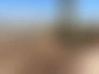 COMENZÓ LA REPARACIÓN Y ALCANTARILLADO DEL CAMINO CARLOS TEJEDOR - NECOL - PASTEUR