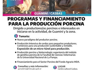 CASBAS: CAPACITACIÓN Y FINANCIMIENTO PARA LA PRODUCCIÓN PORCINA REGIONAL