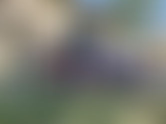 EL PROGRAMA "SALUD RURAL" LLEGÓ A LA ESCUELA Nº 14, PARAJE LAS MARÍAS, CON CONTROLES Y DISTINTAS ACTIVIDADES