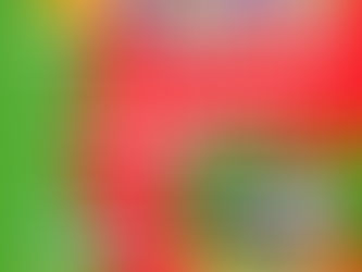 EN FEBRERO, LLEGAN A GUAMINÍ LOS CARNAVALES ARTESANALES DEL ARTE Y LA ALEGRÍA 2023