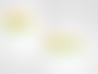 PELLEGRINI: CRONOGRAMA DE RECOLECCIÓN DE RESIDUOS DURANTE LAS FIESTAS DE AÑO NUEVO