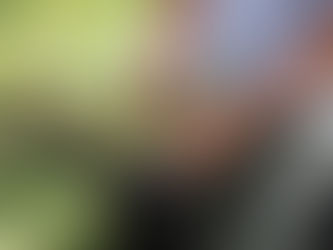 CARLOS TEJEDOR: ENTREGA DE PLANTINES DEL PROGRAMA HUERTAS URBANAS BONAERENSES