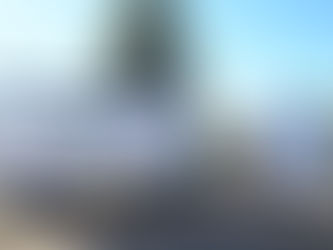 SALLIQUELÓ: ZOONOSIS COMENZÓ HOY CON EL PROGRAMA DE CASTRACIONES "MI MASCOTA"