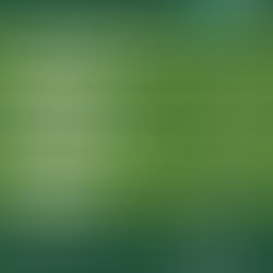 EN TRENQUE LAUQUEN, NO HABRÁ RECOLECCIÓN DE RESIDUOS LOS DÍAS 24 Y 25 POR NAVIDAD NI 31 Y 1° POR AÑO NUEVO: SE SOLICITA NO SACAR LA BASURA LOS DÍAS QUE NO PASA EL CAMIÓN