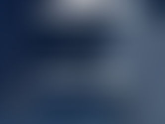 PELLEGRINI: JORNADA DE FUMIGACIÓN CONTRA MOSQUITOS