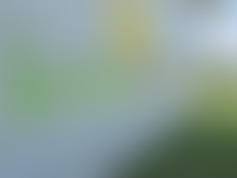 PEHUAJÓ: EL INTENDENTE ZURRO VISITÓ LA LOCALIDAD DE GUANACO DONDE SE COLOCÓ UN NUEVO "ECO-PUNTO"