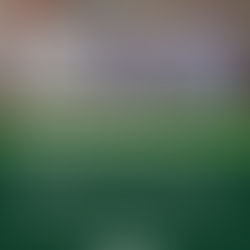 PERFIL DEL EQUIPO DE CONDUCCIÓN DEL ENTE DESCENTRALIZADO DE 30 DE AGOSTO