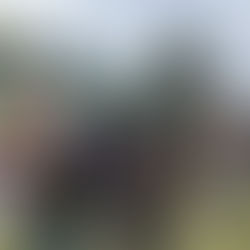 EL MUNICIPIO PARTICIPA EN LA EXPO RURAL 2025 CON PROPUESTAS Y TALLERES EDUCATIVOS Y AMBIENTALES PARA NIÑOS