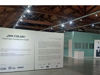ESTÁ DISPONIBLE LA PROPUESTA “CAZADORES DE RESPUESTAS” EN LA MUESTRA “¿SIN COLOR? FUNDACIÓN OSDE QUE SE EXPONE EN EL MUMAV