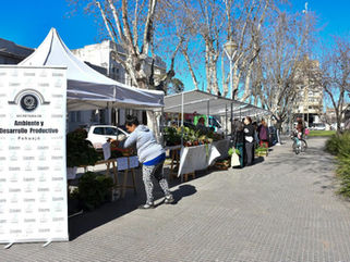 SE REALIZÓ UNA NUEVA EDICIÓN DE "PEHUA-FERIA"