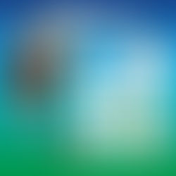 PEHUAJÓ: CONTINÚA ESTE MARTES LA TAREA DE PODA CORRECTIVA EN EL MICROCENTRO DE LA CIUDAD