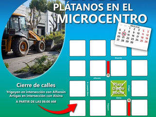 PEHUAJÓ: CONTINÚA ESTE MARTES LA TAREA DE PODA CORRECTIVA EN EL MICROCENTRO DE LA CIUDAD