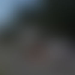 PREVENCIÓN Y CONTROLES DE TRÁNSITO EN LA VÍA PÚBLICA: OPERATIVOS DE LA ÚLTIMA SEMANA