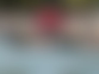 GUAMINÍ - LAGO DEL MONTE: EL CAMPEONATO DE NADADORES DE AGUAS FRÍAS FUE UN ÉXITO ROTUNDO