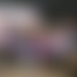 PEHUAJÓ: ENTREGA DE NETBOOKS A ESTUDIANTES DE ESCUELAS RURALES Y DE EDUCACIÓN ESPECIAL