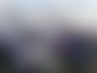 PICNIC SALUDABLE EN EL HOGAR DE ANCIANOS DE PELLEGRINI