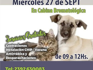 PELLEGRINI: ESTE MIÉRCOLES EL QUIRÓFANO MÓVIL DE MASCOTAS ESTARÁ EN LA CABINA BROMATOLÓGICA