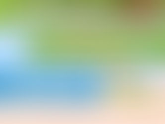 CARLOS TEJEDOR: CONTINÚAN LAS JORNADAS DE DESCACHARRADO