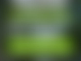 CAMPAÑA DE ARBOLADO 2025: MÁS DE 50 PERSONAS SE ANOTARON EN LA PRIMERA SEMANA Y HAY MUCHAS CONSULTAS SOBRE LA INICIATIVA