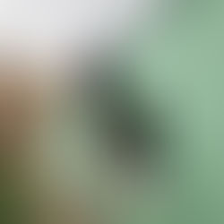 DAIREAUX: TRABAJOS DE MANTENIMIENTO EN EL JARDÍN MATERNAL MUNICIPAL