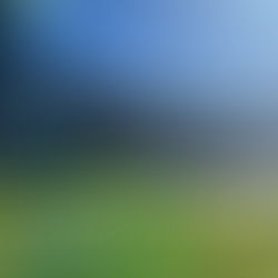 30 DE AGOSTO: ATENCIÓN DE LA OFICINA DE BROMATOLOGÍA, DE LUNES A VIERNES DE 7 A 17 HORAS