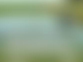 GUAMINÍ: INSTRUCTIVO PARA LA GESTIÓN DE LA EMERGENCIA AGROPECUARIA POR INUNDACIÓN 2025