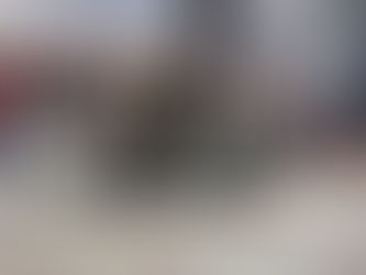 PELLEGRINI: ALUMNOS DEL TALLER DE AJEDREZ PARTICIPARON DE UN TORNEO EN TRENQUE LAUQUEN