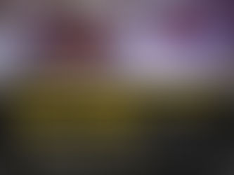 “LAS ARTES SITUADAS EN EL TERRITORIO”: CONVERSATORIO VIRTUAL PARA ARTISTAS, EL PRÓXIMO VIERNES (13) EN EL MUMAV