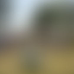 RIVADAVIA: LA LOCALIDAD DE SUNDBLAD CELEBRÓ SUS 114 AÑOS