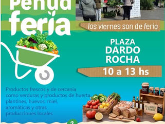 NUEVA EDICIÓN DE "PEHUA FERIA" ESTE VIERNES 4 EN PLAZA DARDO ROCHA