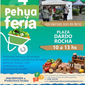 NUEVA EDICIÓN DE "PEHUA FERIA" ESTE VIERNES 4 EN PLAZA DARDO ROCHA 