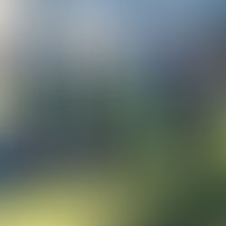 PEHUAJÓ: CONTINÚAN LAS ACTIVIDADES EN LA COLONIA DE ADULTOS MAYORES