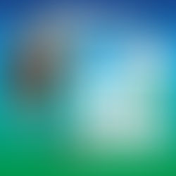 PEHUAJÓ: ESTE JUEVES CONTINUARÁN LOS CORTES DE CALLE POR TRABAJOS DE PODA EN EL MICROCENTRO