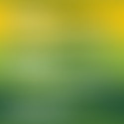 ASUETO DEL DÍA DEL TRABAJADOR MUNICIPAL: EL LUNES (10) NO SE PRESTARÁ EL SERVICIO DE RECOLECCIÓN DE RESIDUOS Y ESTARÁ CERRADA LA ESTACIÓN DE TRANSFERENCIA