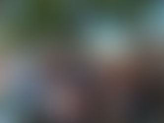 DAIREAUX: SE REALIZÓ UNA JORNADA RECREATIVA DE ADULTOS MAYORES, EN ARBOLEDAS