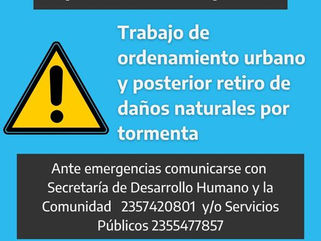 OPERATIVO DE LIMPIEZA TRAS EL TEMPORAL EN CARLOS TEJEDOR