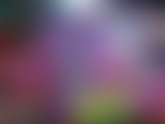 MUY PRONTO LLEGAN LOS CARNAVALES ARTESANALES DEL ARTE Y LA ALEGRÍA GUAMINÍ 2023