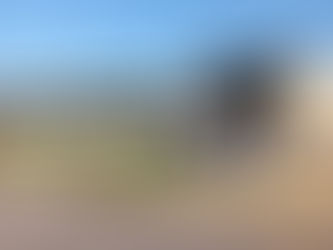 ESPACIOS VERDES REALIZÓ TAREAS DE FORESTACIÓN EN LAS VEREDAS DE LA SECUNDARIA Nº 8