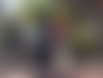 CAMPAÑA DE PREVENCIÓN CONTRA EL MOSQUITO AEDES AEGYPTI EN PELLEGRINI