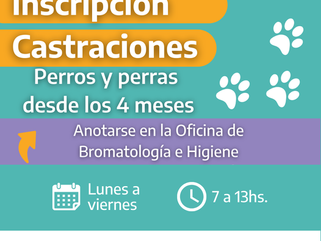 CARLOS TEJEDOR: INSCRIPCIÓN PARA CASTRACIONES PARA PERROS Y PERRAS EN TRES ALGARROBOS