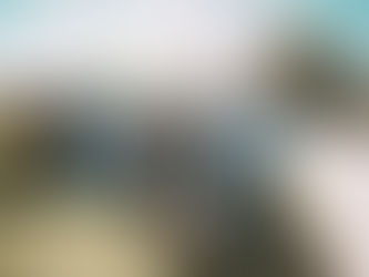 PRESENTACIÓN DEL PROYECTO LAZO ROSA