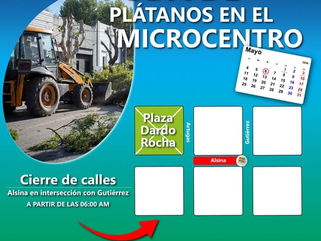 PEHUAJÓ: ESTE MIÉRCOLES CONTINUARÁN LOS CORTES DE CALLE POR TRABAJOS DE PODA EN EL MICROCENTRO